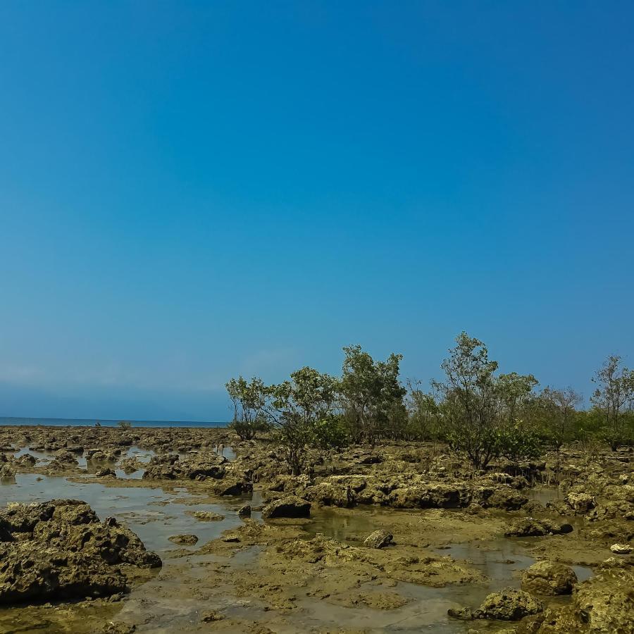 Seasta Beach Resort Baler Exteriér fotografie